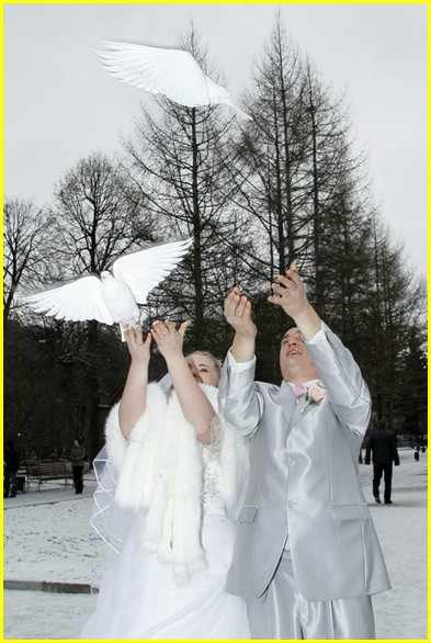 Фотографии с запуском свадебных голубей 